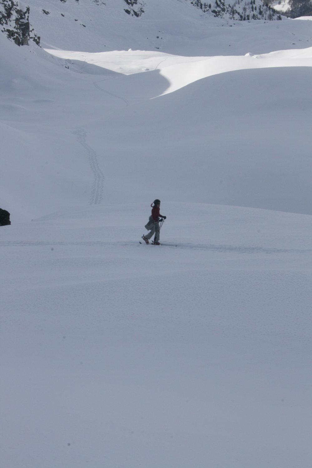 Albergo Alpenrose Ski&Bike Mountain Hotel Gressoney-Saint-Jean Kültér fotó