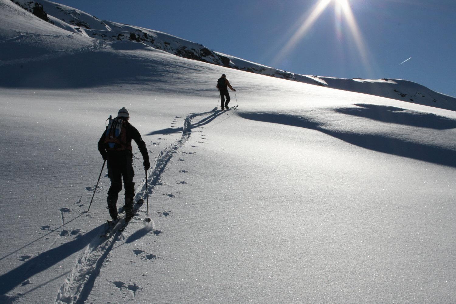 Albergo Alpenrose Ski&Bike Mountain Hotel Gressoney-Saint-Jean Kültér fotó