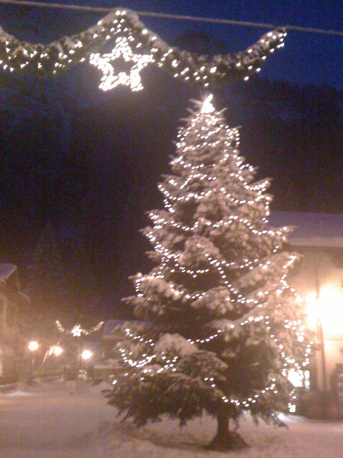 Albergo Alpenrose Ski&Bike Mountain Hotel Gressoney-Saint-Jean Kültér fotó