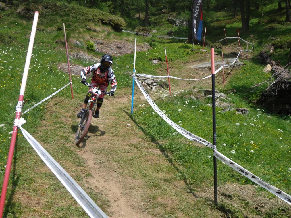 Albergo Alpenrose Ski&Bike Mountain Hotel Gressoney-Saint-Jean Kültér fotó