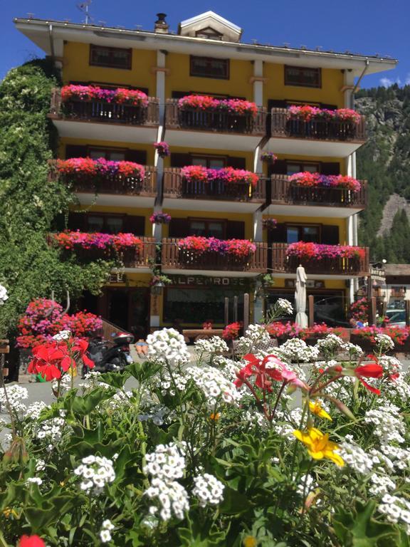 Albergo Alpenrose Ski&Bike Mountain Hotel Gressoney-Saint-Jean Kültér fotó