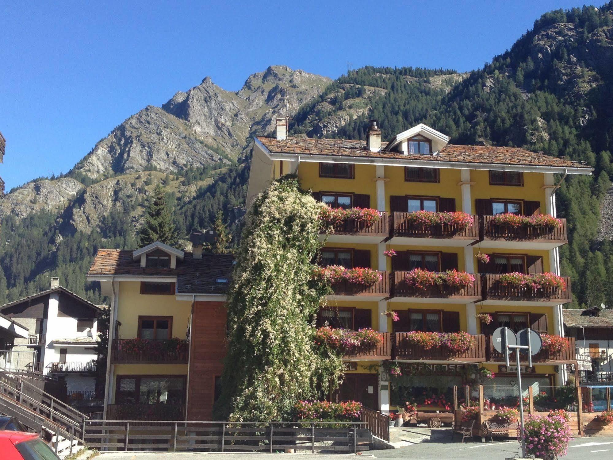 Albergo Alpenrose Ski&Bike Mountain Hotel Gressoney-Saint-Jean Kültér fotó