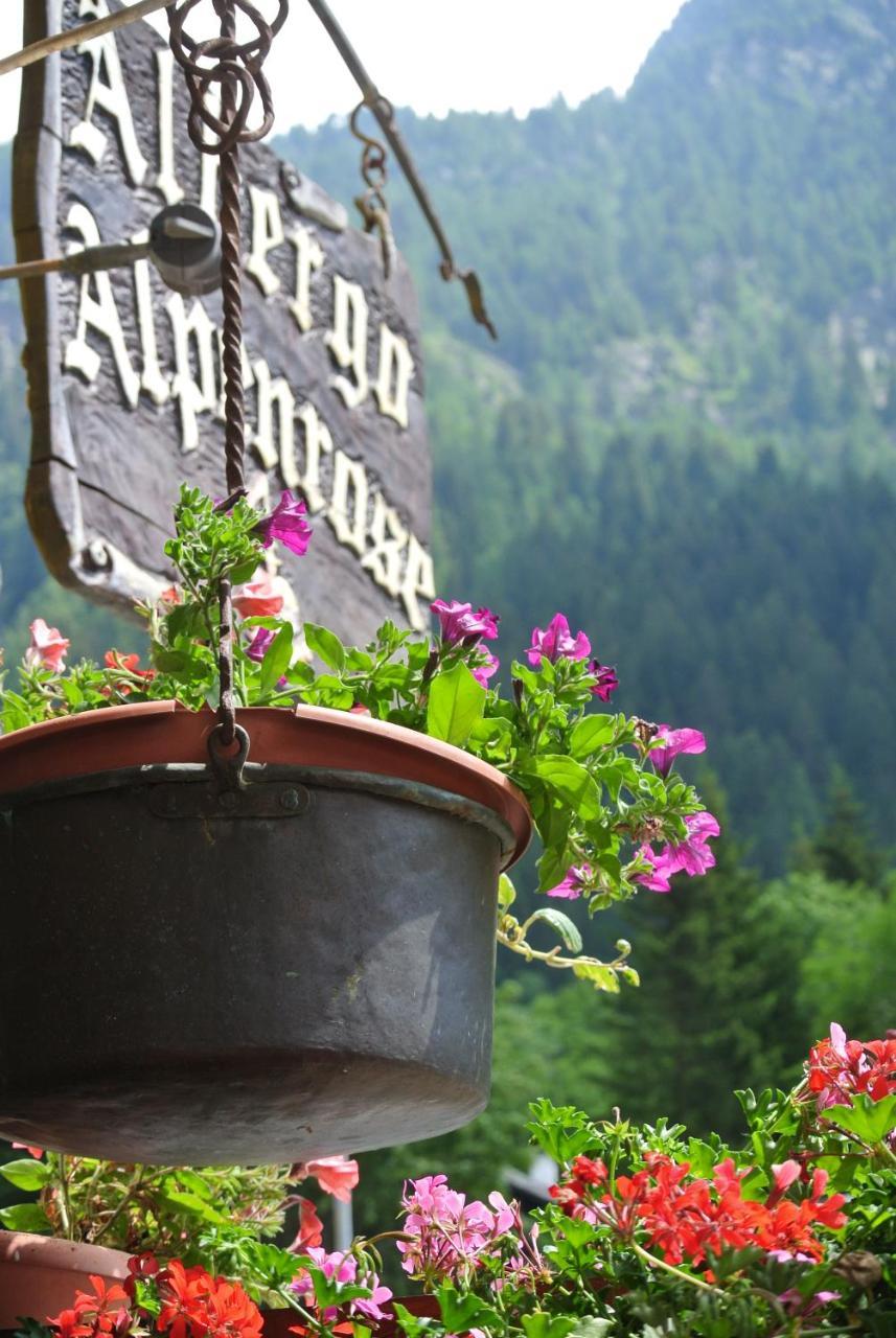 Albergo Alpenrose Ski&Bike Mountain Hotel Gressoney-Saint-Jean Kültér fotó