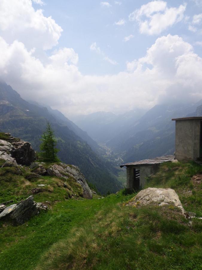 Albergo Alpenrose Ski&Bike Mountain Hotel Gressoney-Saint-Jean Kültér fotó